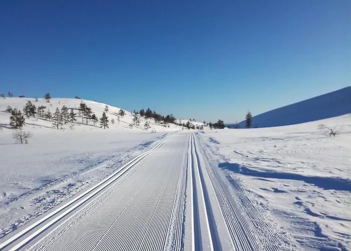 Daire Kaltio Äkäslompolo
